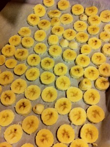 Bananas sliced and already frozen