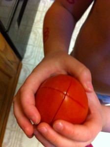 X in the bottom of a tomato.  Mr. Charm really wanted to help, so he's my 'hand model'!