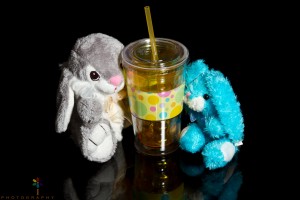 Bunnies for both boys, and a "grown-up sippy cup" for Jed!