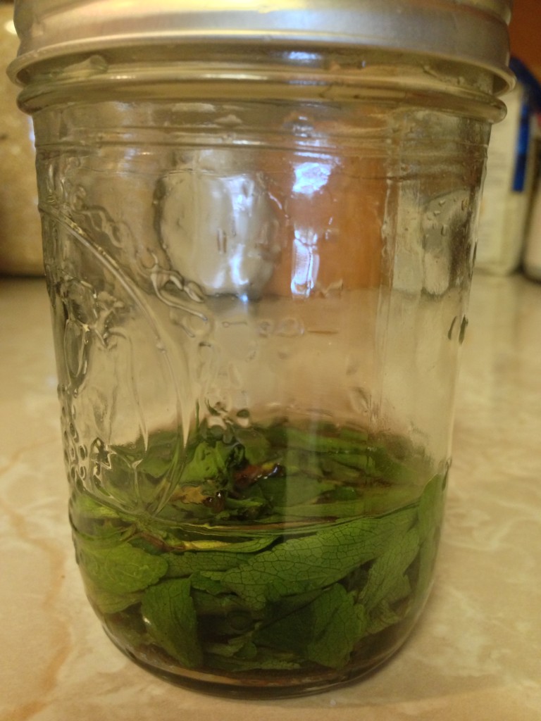 Homemade Stevia Extract