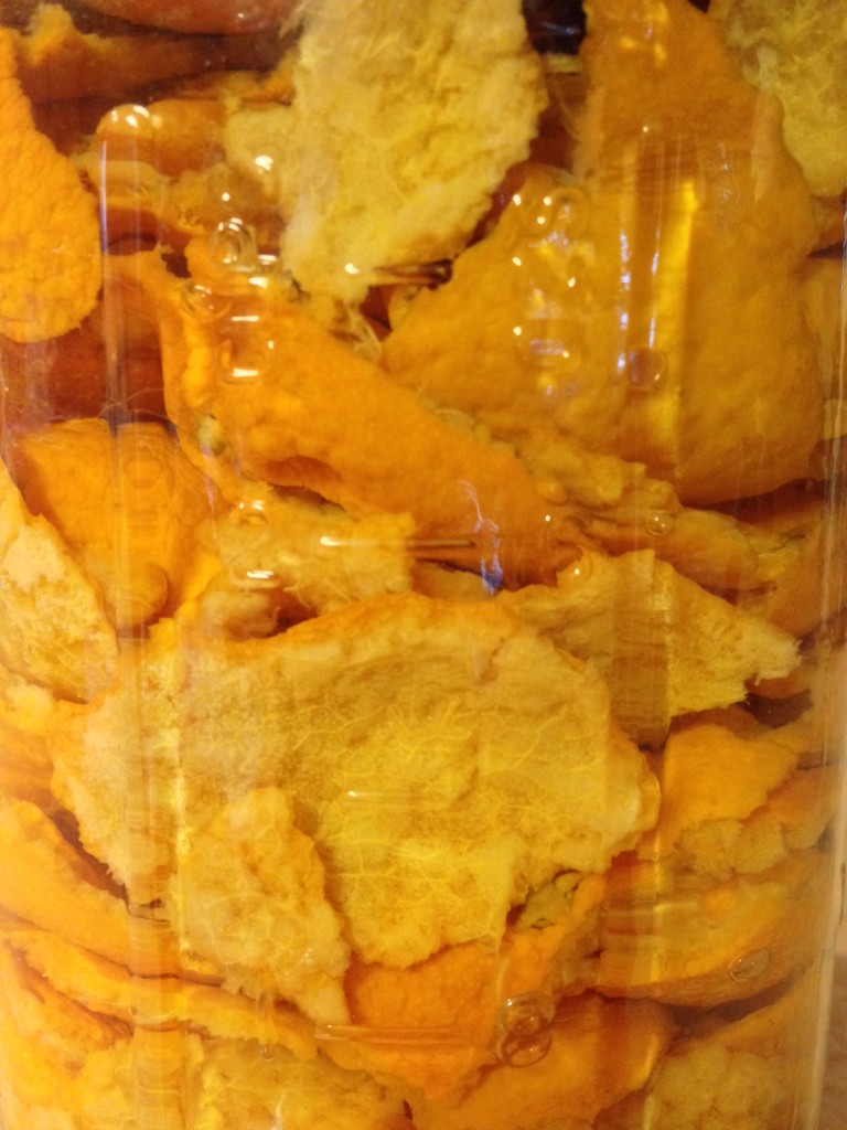 Citrus peels in a mason jar, covered in vinegar.