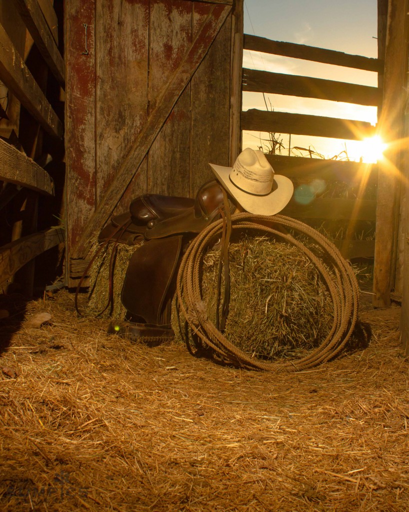 Cowboy Sunset