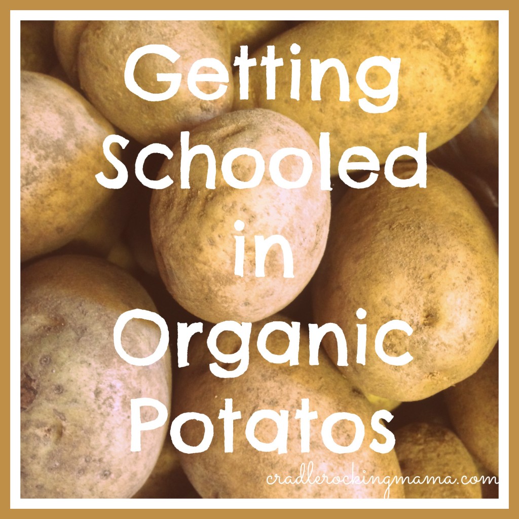 Getting Schooled in Organic Potatos Cradlerockingmama.com