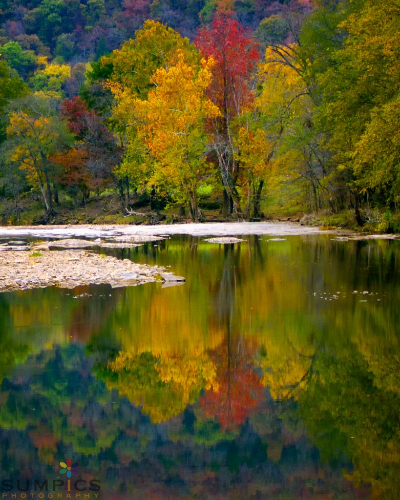 Reflection Crop Train 313 CradleRockingMama by SumPics Photography