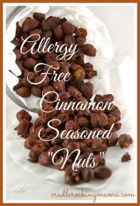 Allergy-Free Cinnamon Seasoned "Nuts" CradleRockingMama.com