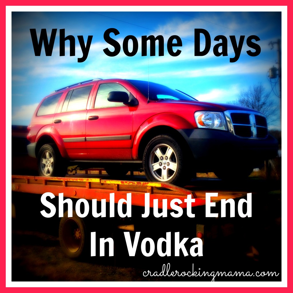 Why Some Days Should Just End in Vodka cradlerockingmama