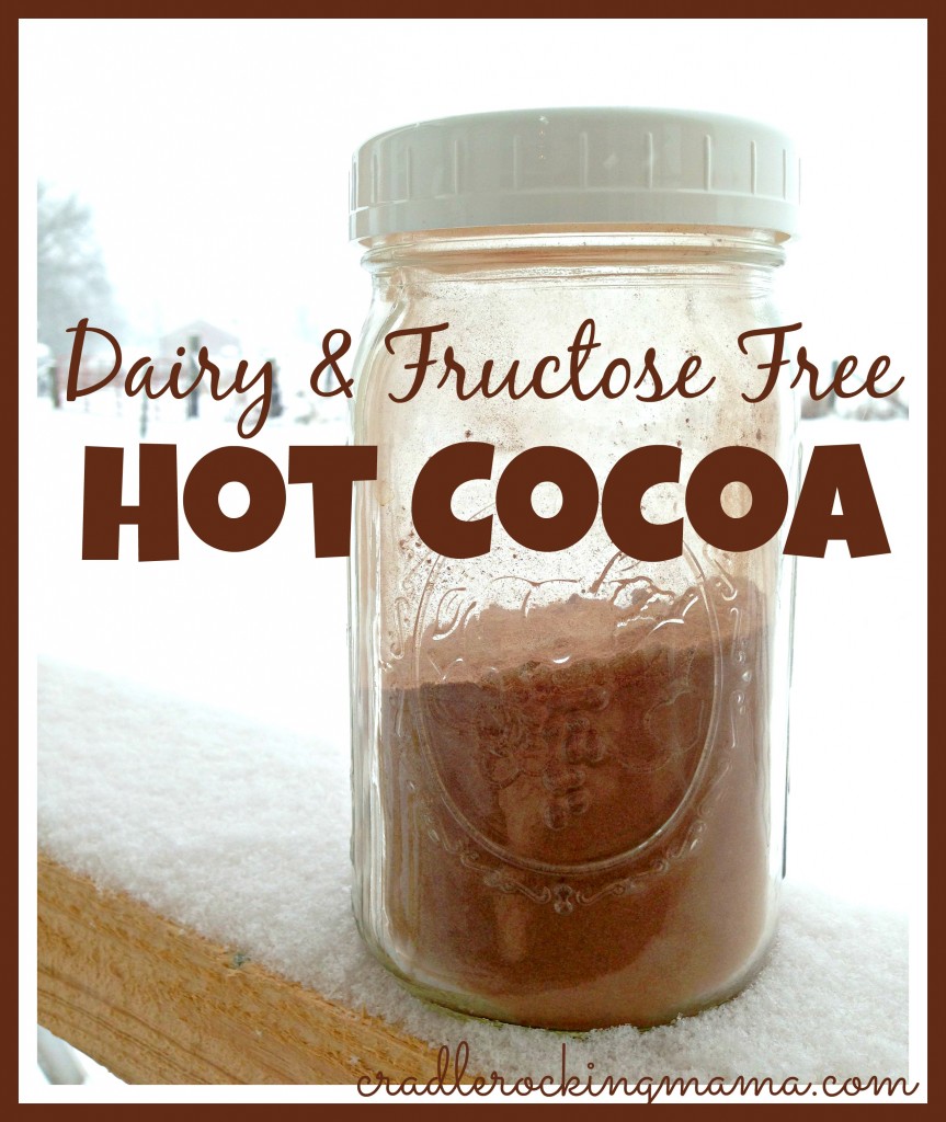Dairy & Fructose Free Instant Hot Cocoa cradlerockingmama