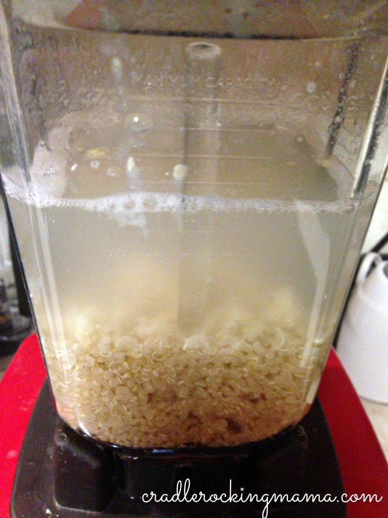 Quinoa and water ready to become milk