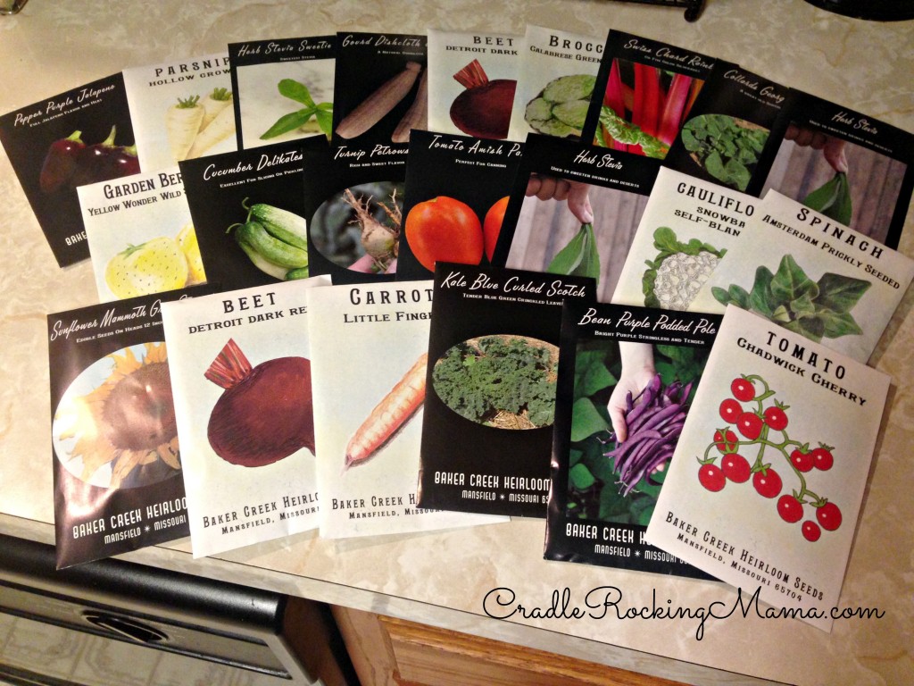 Look at all my beautiful seeds! I'm SO looking forward to this!
