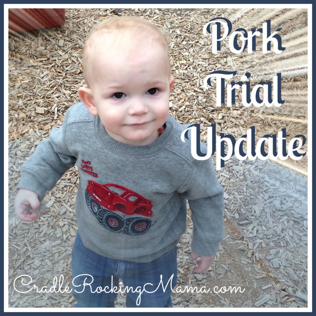 Pork Trial Update cradlerockingmama