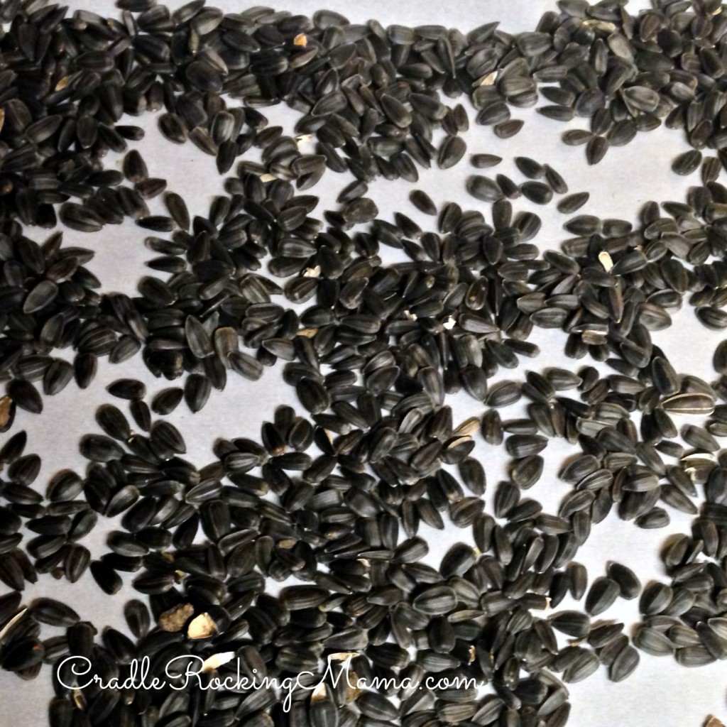 Raw seeds on a lined cookie sheet.