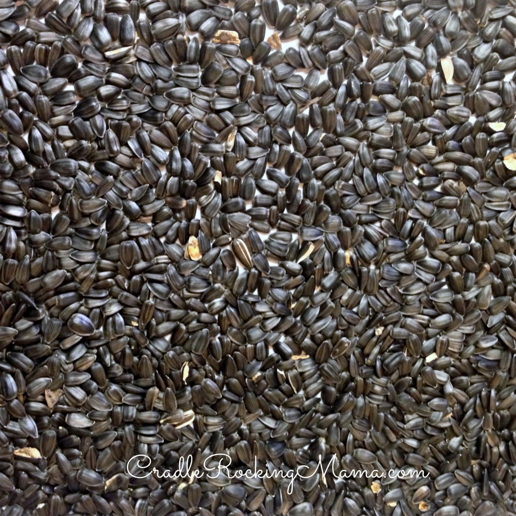 Roasted/toasted seeds cooling on the sheet. 