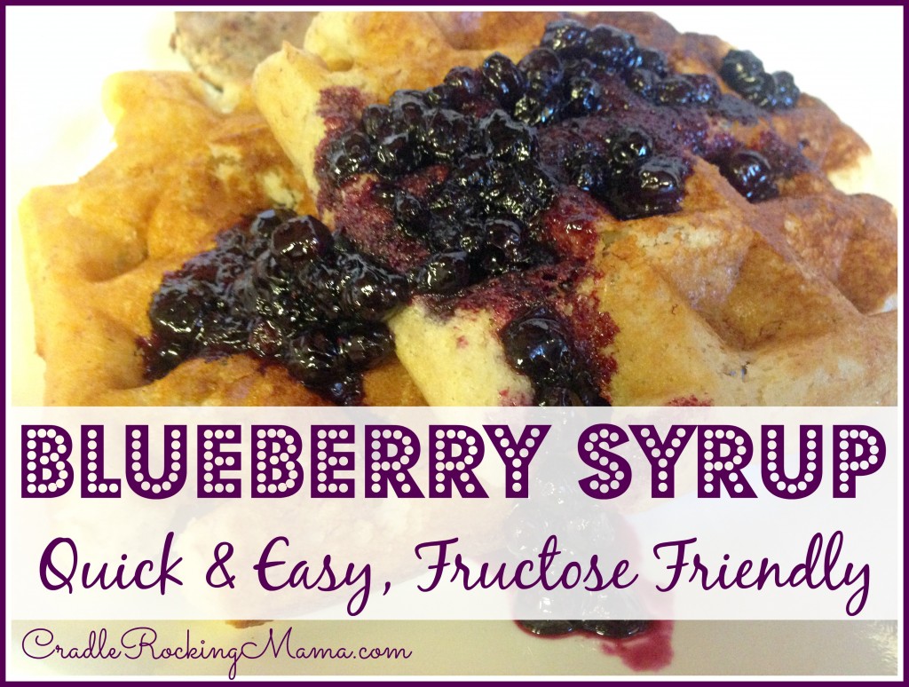 Blueberry Syrup Fructose Friendly CradleRockingMama.com