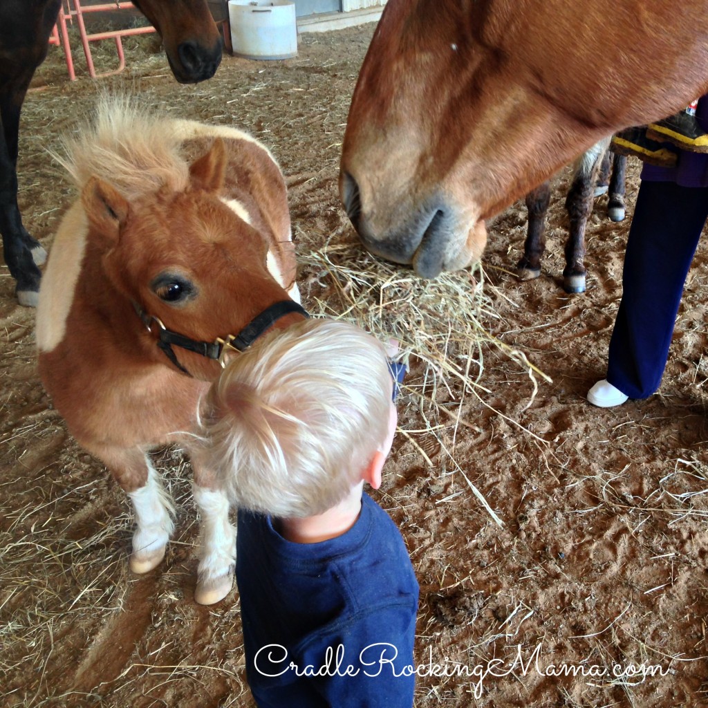 Feeding the Horses CradleRockingMama.com