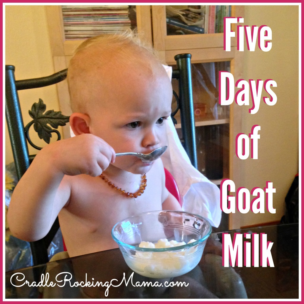 Five Days of Goat Milk CradleRockingMama.com