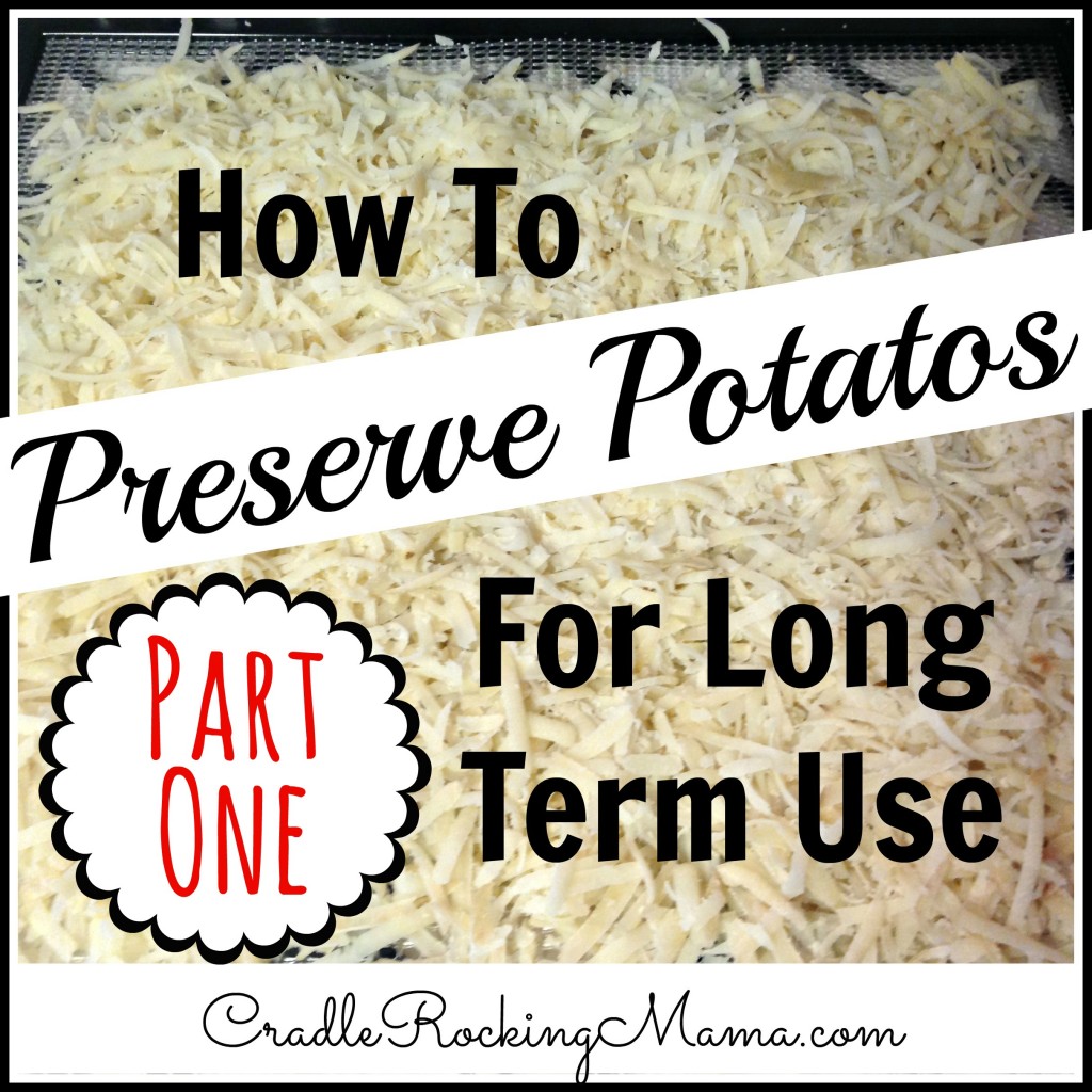 How to Preserve Potatos for Long Term Use Part One CradleRockingMama