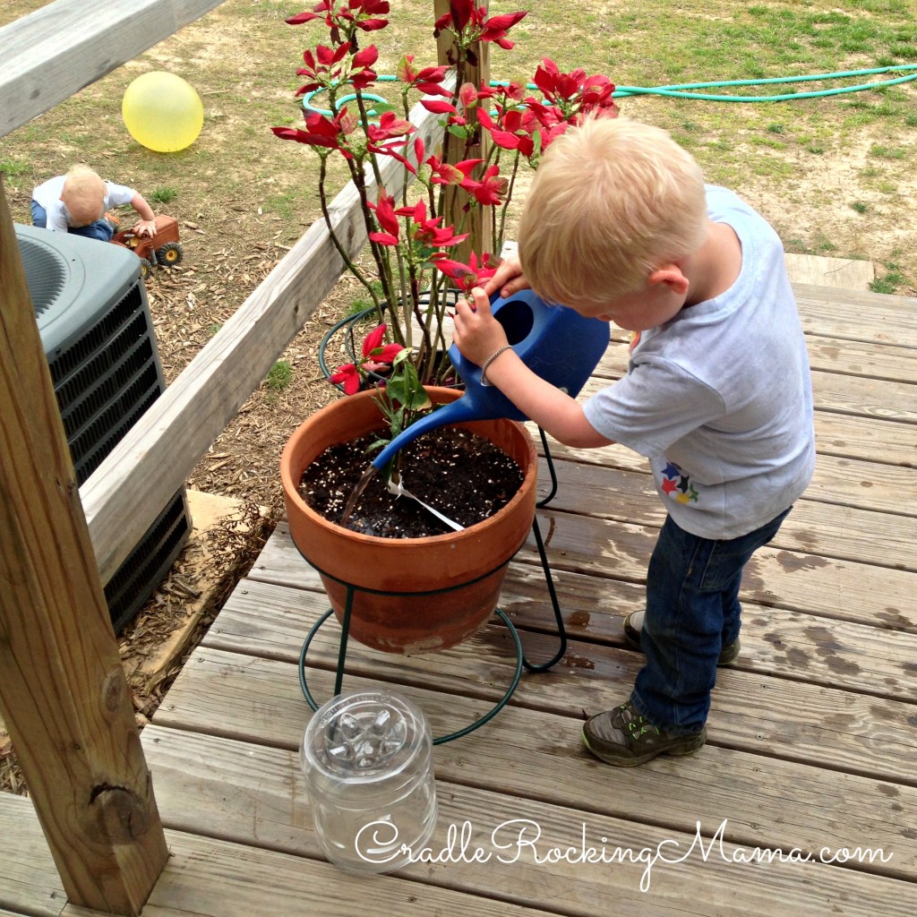 Watering the Plants CradleRockingMama.com