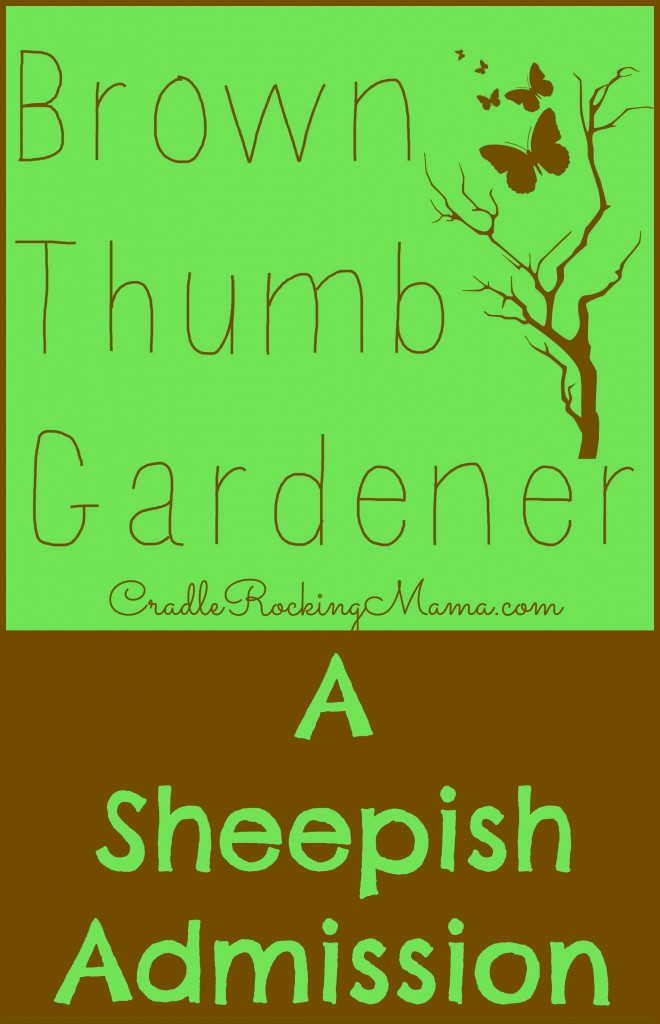 Brown Thumb Gardener - A Sheepish Admission CradleRockingMama.com