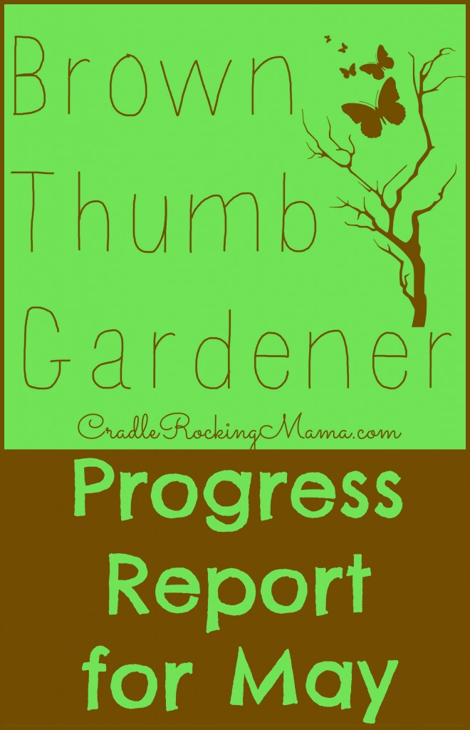 Brown Thumb Gardener Progress Report for May CradleRockingMama.com