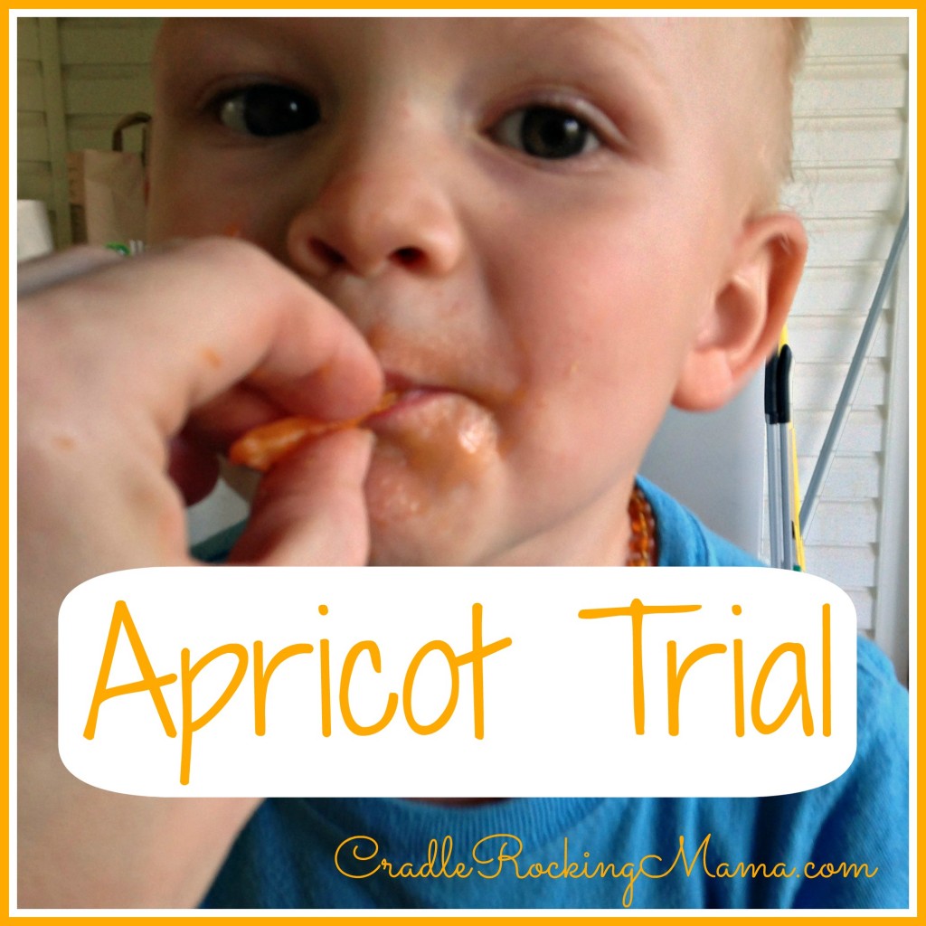 Apricot Trial CradleRockingMama.com