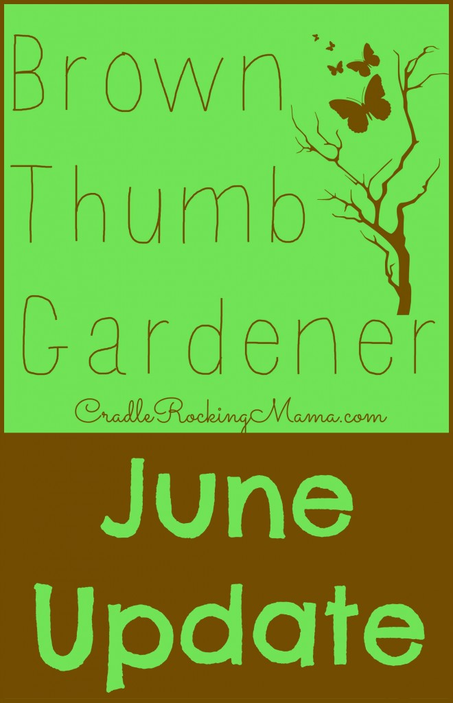 Brown Thumb Gardener June Update CradleRockingMama.com