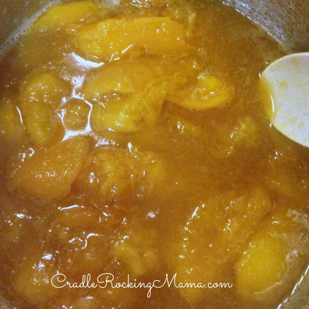 Cooking the apricots CradleRockingMama.com