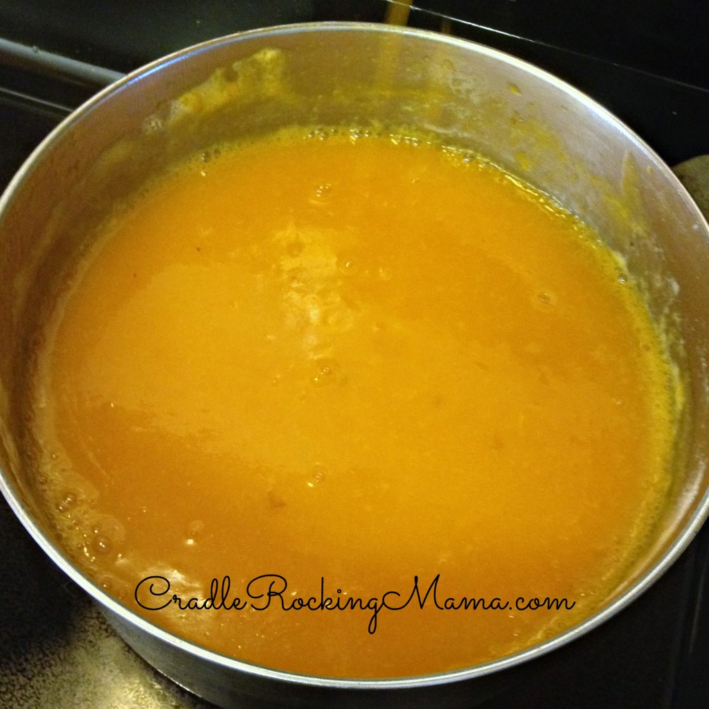 Apricot Puree CradleRockingMama.com