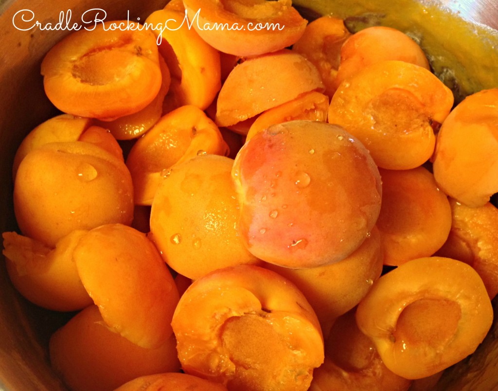 Apricots in the Pot CradleRockingMama.com