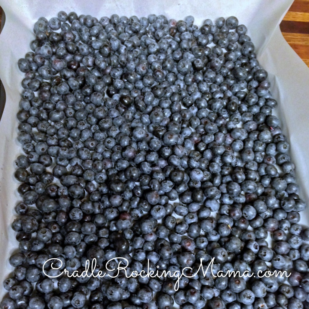 Blueberries laid out to freeze CradleRockingMama.com
