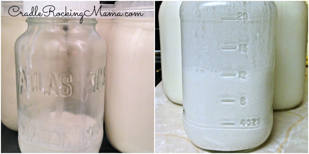 Collecting Cream off Goat Milk for Butter Collage CradleRockingMama.com