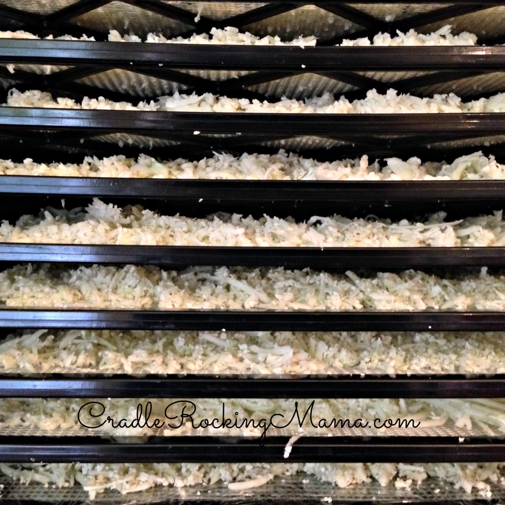 Dehydrator filled with Cauliflower CradleRockingMama.com