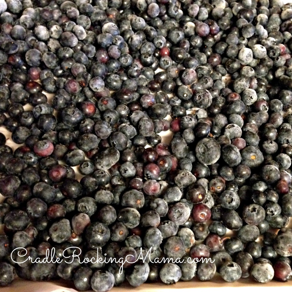 Frozen Blueberries CradleRockingMama.com