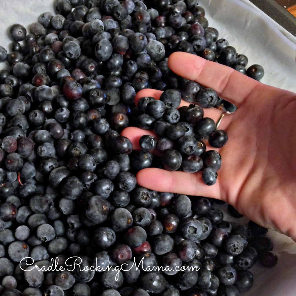 Frozen blueberries just break into individual berries CradleRockingMama.com