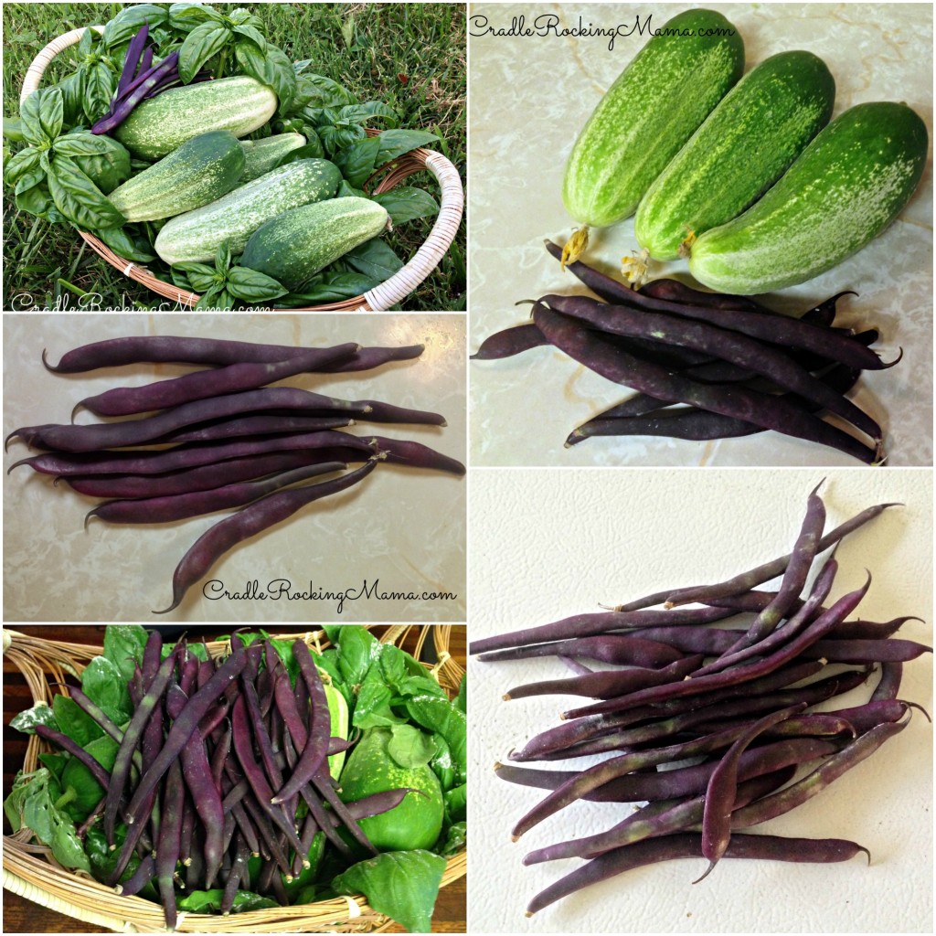 Garden Harvest Collage CradleRockingMama.com