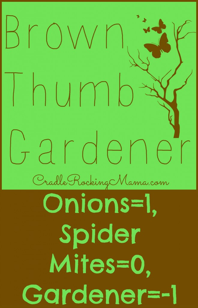 Onions=1 Spider Mites=0 Gardener=-1 CradleRockingMama.com