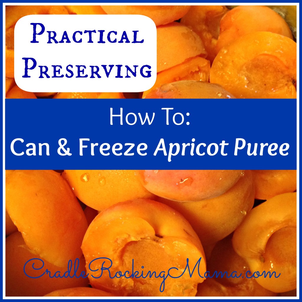 Practical Preserving - How to Can And Freeze Apricot Puree CradleRockingMama.com