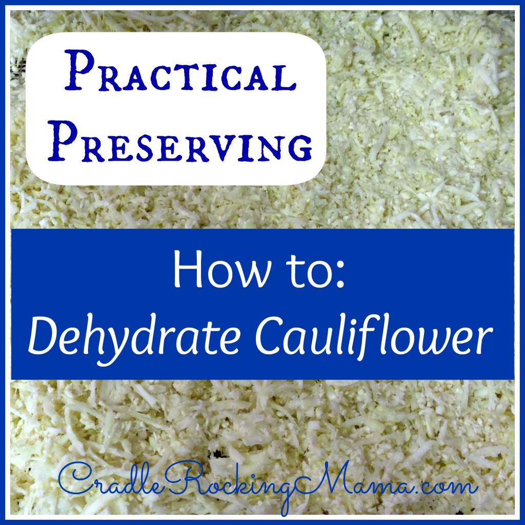 Practical Preserving How to Dehydrate Cauliflower CradleRockingMama.com