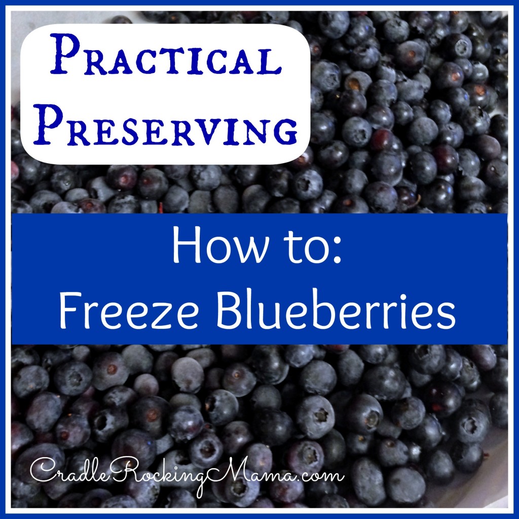 Practical Preserving - How to Freeze Blueberries CradleRockingMama.com