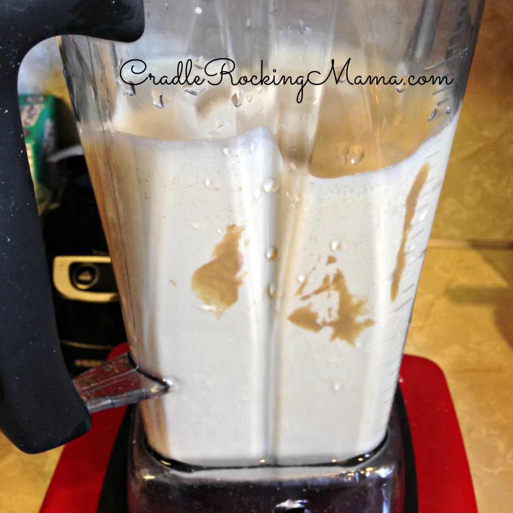 Sunbutter Ice Cream In the blender CradleRockingMama.com