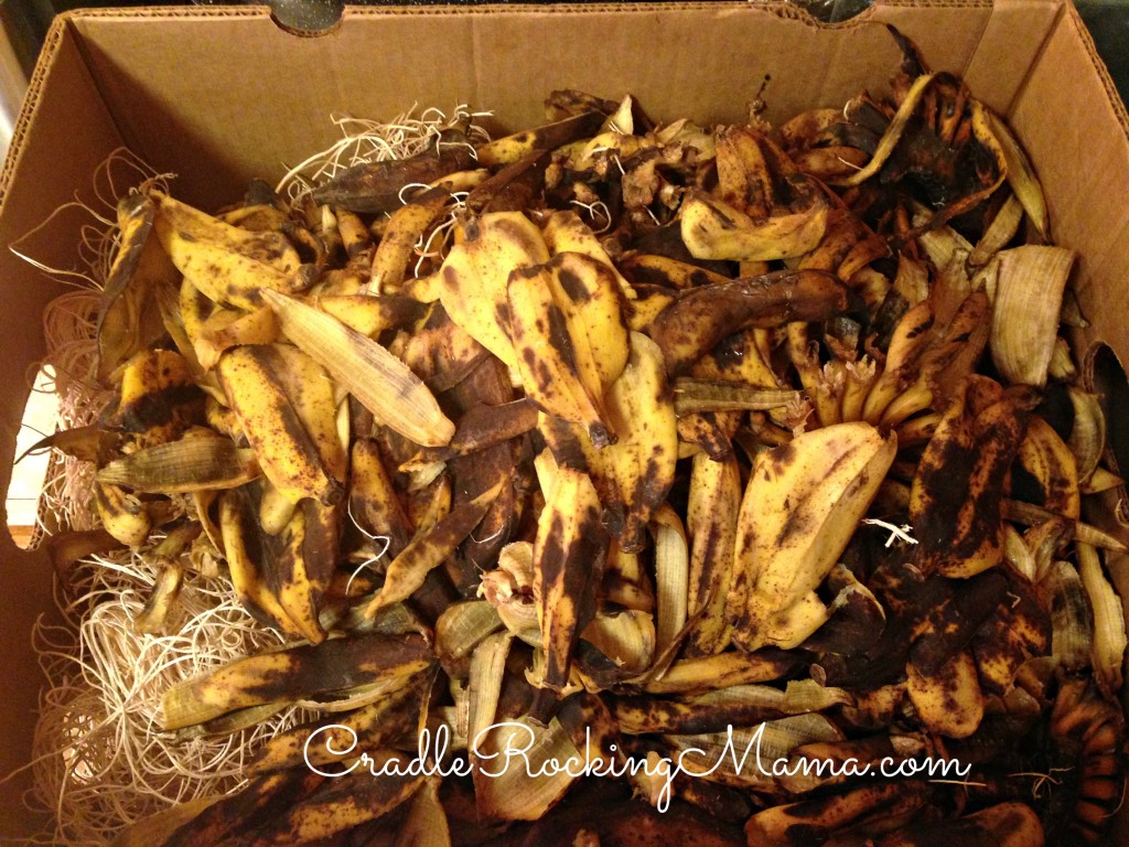 Big Box of Banana Peels CradleRockingMama.com