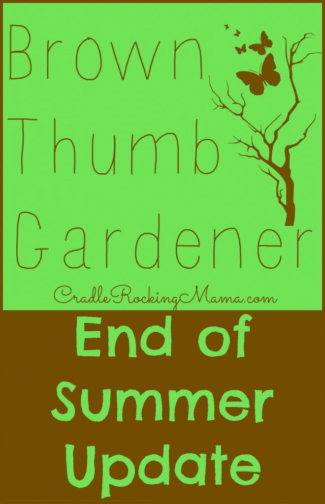 Brown Thumb Gardener End of Summer Update CradleRockingMama.com