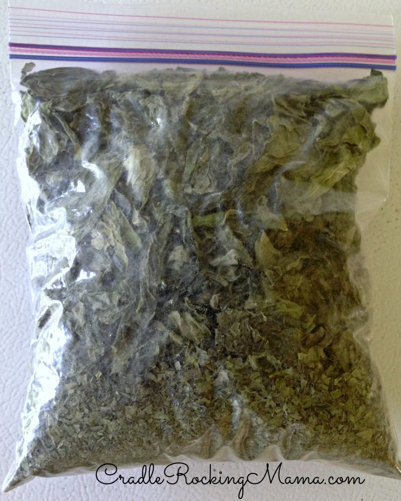 Finished dried basil in a Ziploc bag CradleRockingMama.com