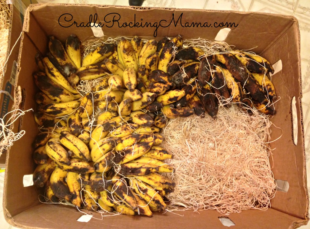 Partial Box of Bananas CradleRockingMama.com