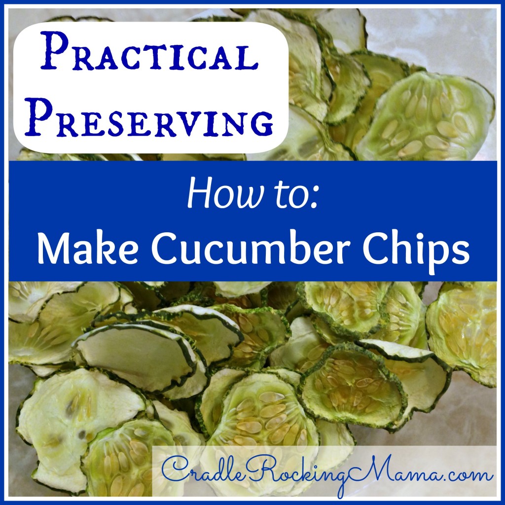 Practical Preserving How to Make Cucumber Chips CradleRockingMama.com