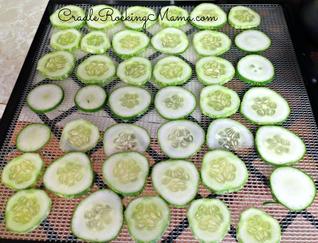 Sliced cucumbers ready to dehydrate CradleRockingMama.com