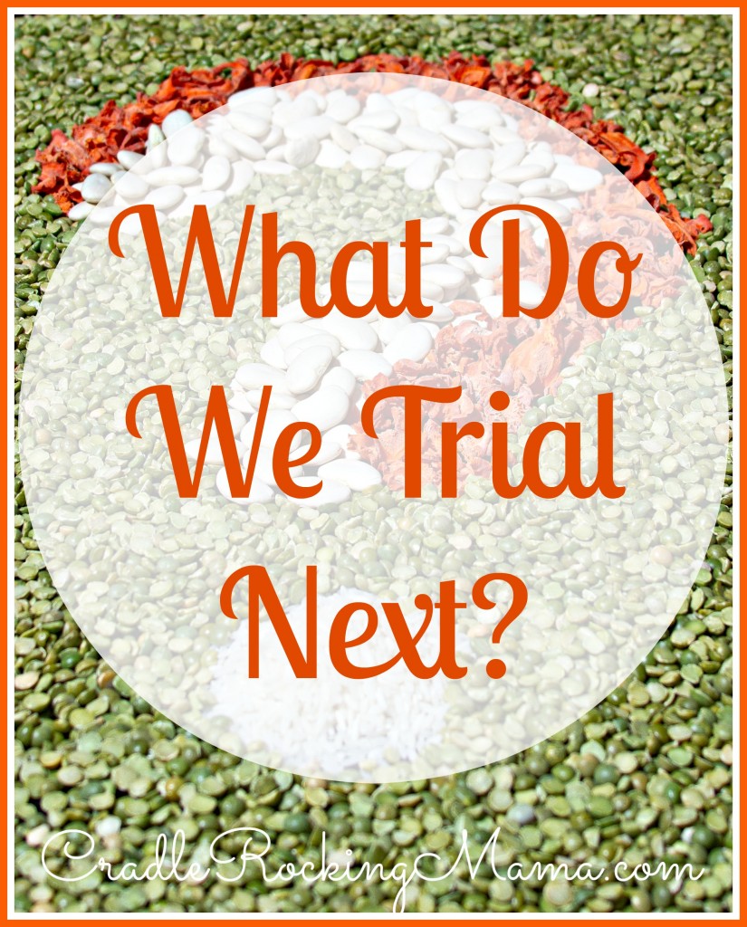 What Do We Trial Next  CradleRockingMama.com