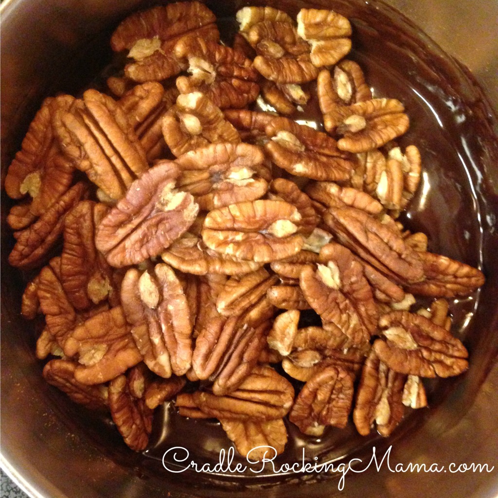 Added pecans to chocolate CradleRockingMama.com