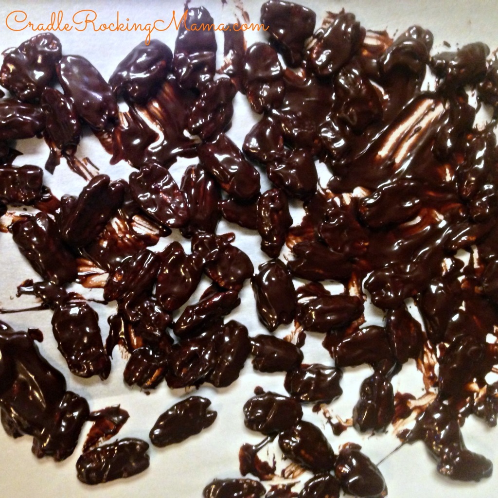 Chocolate covered pecans laid on cookie sheet CradleRockingMama.com