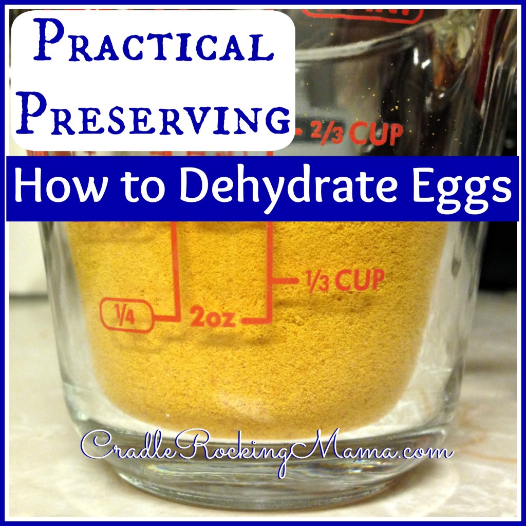 Practical Preserving How to Dehydrate Eggs CradleRockingMama.com