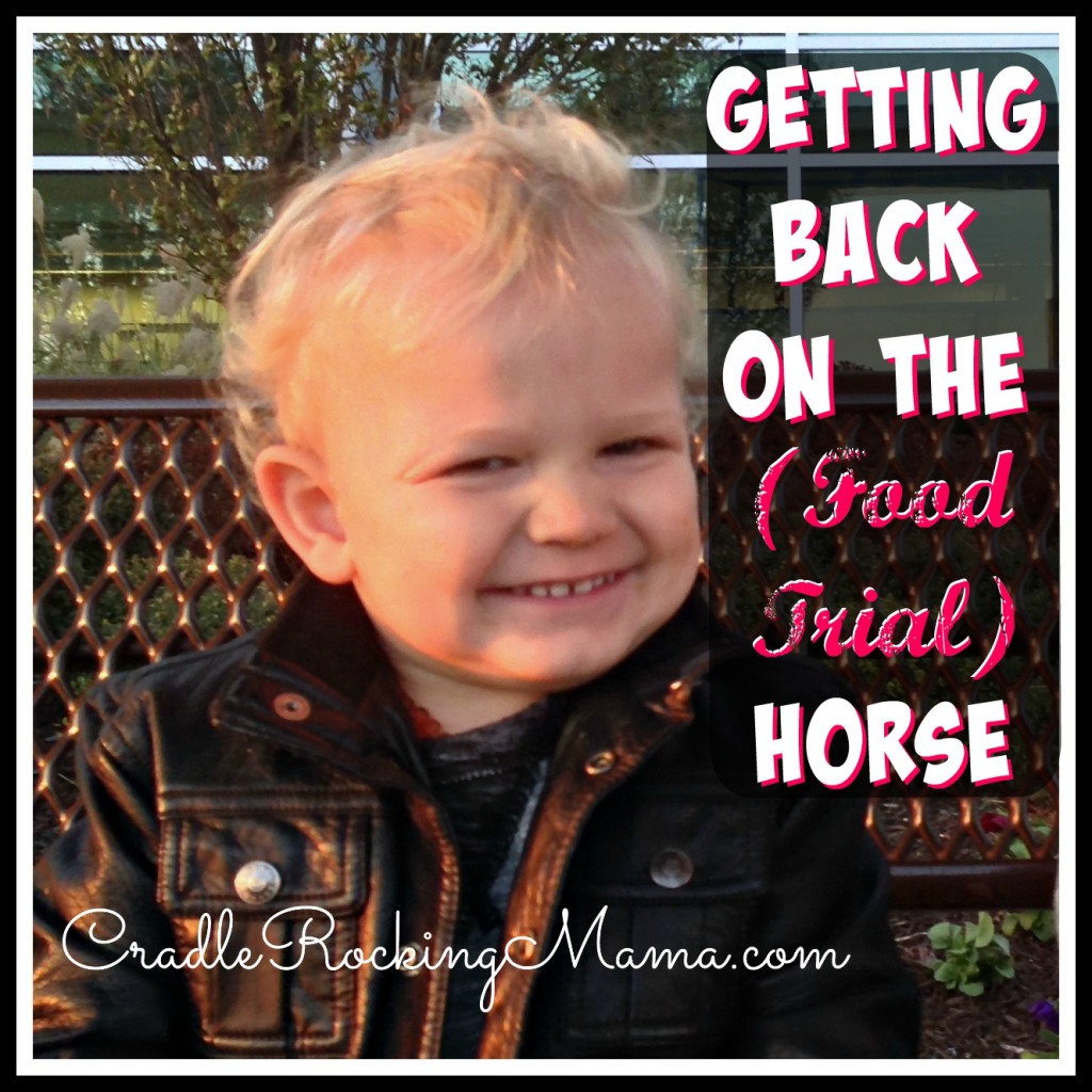 Getting Back on the Food Trial Horse CradleRockingMama.com